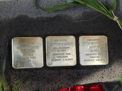 Stolpersteine für Helina, Jettchen und Ruth Mayer